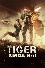 Tiger Zinda Hai (2017) Hindi HD