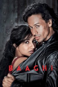 Baaghi (2016) Hindi HD WEB-DL