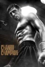 Chandu Champion (2024) Hindi HD AMAZN Prime WEB-DL