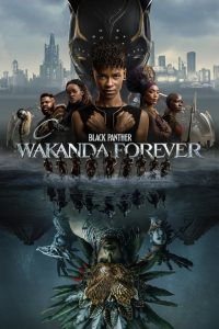 Black Panther: Wakanda Forever (2022) Hindi Dubbed WEBRip